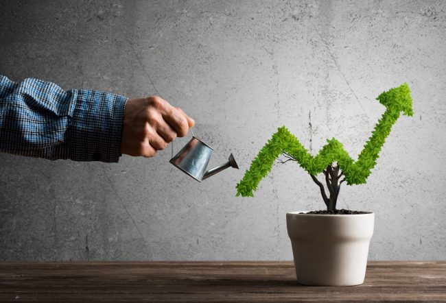 Growth Graph Plant